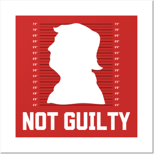 Trump Mugshot Posters and Art